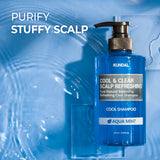 Cool & Clear Scalp Refreshing Shampoo 16.9 fl oz.  - AQUA MINT