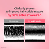 Protein Bonding SET [Shampoo 16.9fl.oz 500ml + Treatment 8.45fl.oz 250ml] - Violet Muguet