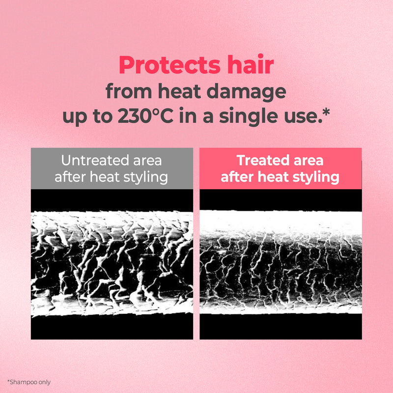 Protein Bonding SET [Shampoo 16.9fl.oz 500ml + Treatment 8.45fl.oz 250ml] - Violet Muguet