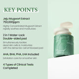 MUGWORT SOOTHING CLEAR PAD 60SHEET