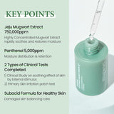 KUNDAL Mugwort Soothing Energy Facial Serum 1.01fl oz