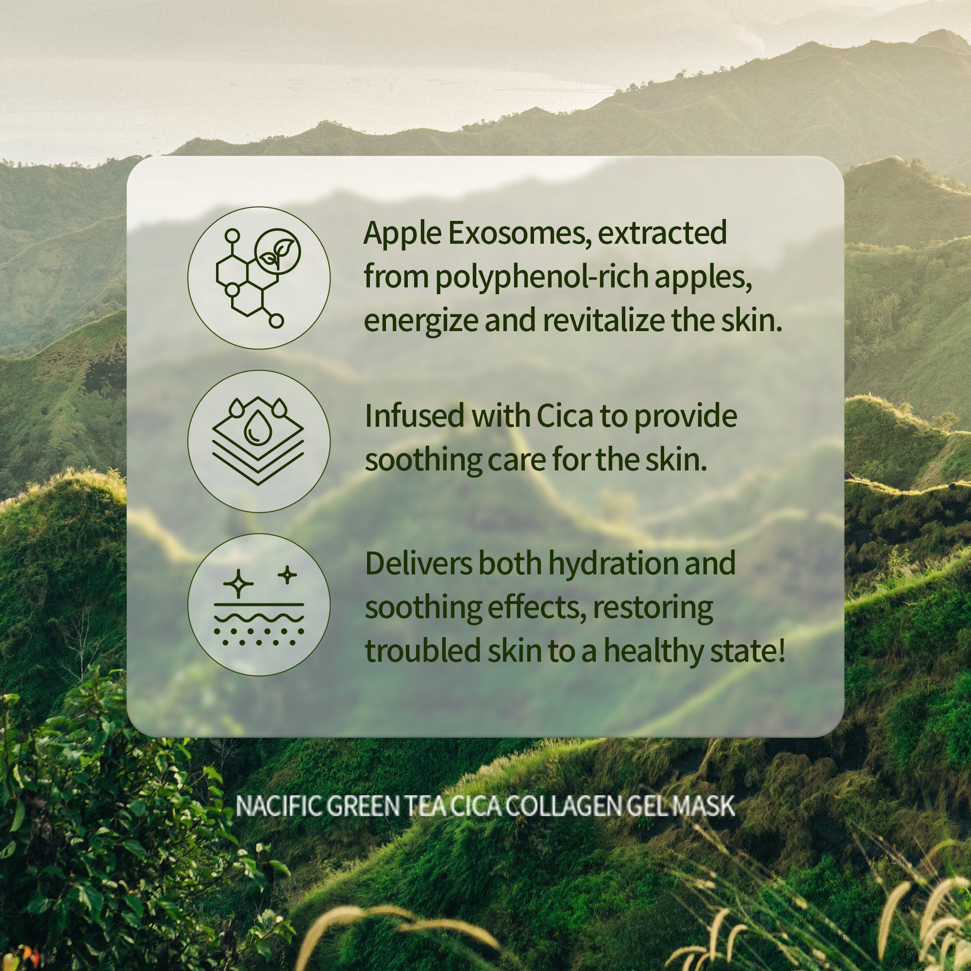 NACIFIC Collagen Gel Facial Mask (Rice Peptide / Green Tea Cica) - 4ea