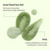 MATCHA & KALE CLARIFYING SEA SALT SCALP SCRUB 7.05 oz - HERB MINT