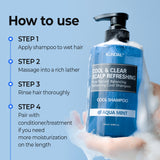 Cool & Clear Scalp Refreshing Shampoo 16.9 fl oz.  - AQUA MINT