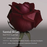 Red rose with fragrance description on a gray background