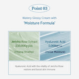 Hyal Booster Cream 50g